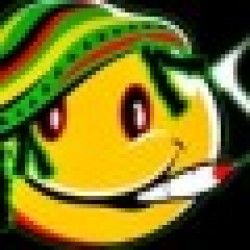 EverStoned77